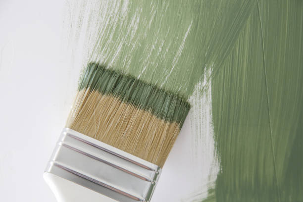 Best Attic Mold Removal  in Terrell Hills, TX