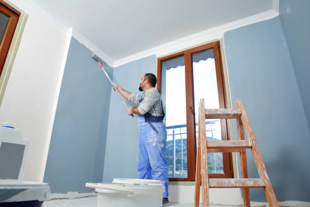 Best Comprehensive Air Testing for Mold Contaminants  in Terrell Hills, TX