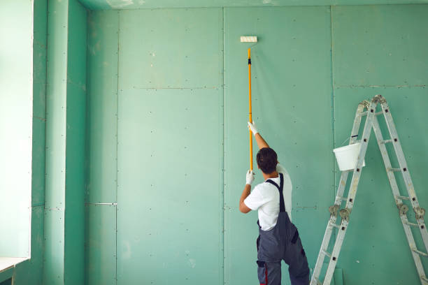 Best Emergency Mold Remediation  in Terrell Hills, TX