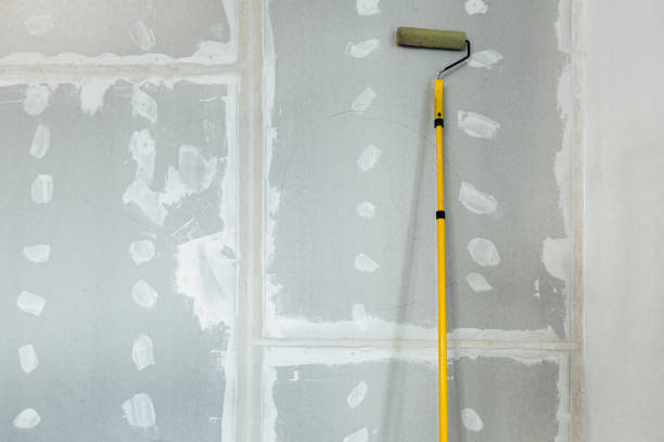 Best Post-Construction Mold Inspection  in Terrell Hills, TX