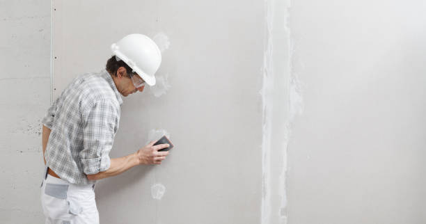 Best Commercial Mold Inspection  in Terrell Hills, TX
