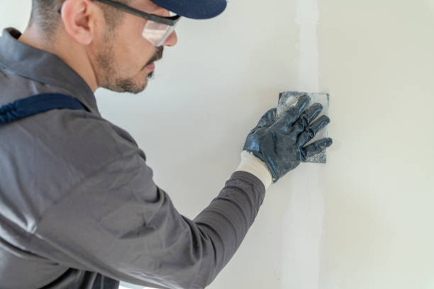 Best Environmental Consulting for Mold Prevention  in Terrell Hills, TX
