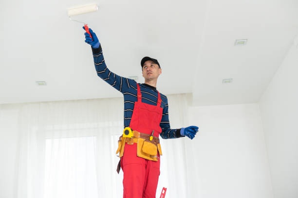 Best Post-Remediation Verification Testing  in Terrell Hills, TX