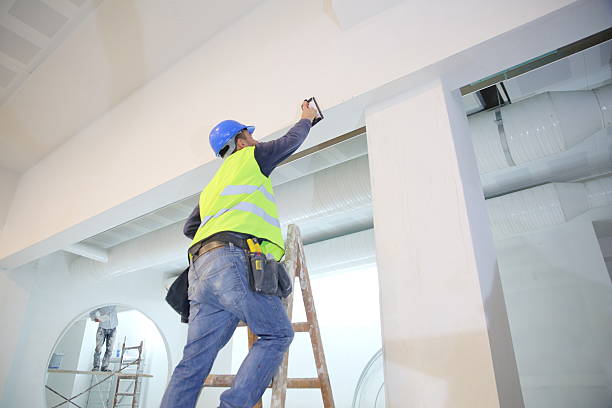 Best Airborne Mold Testing  in Terrell Hills, TX