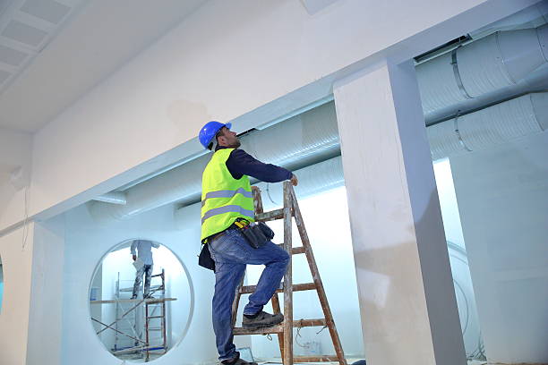 Best Black Mold Removal  in Terrell Hills, TX